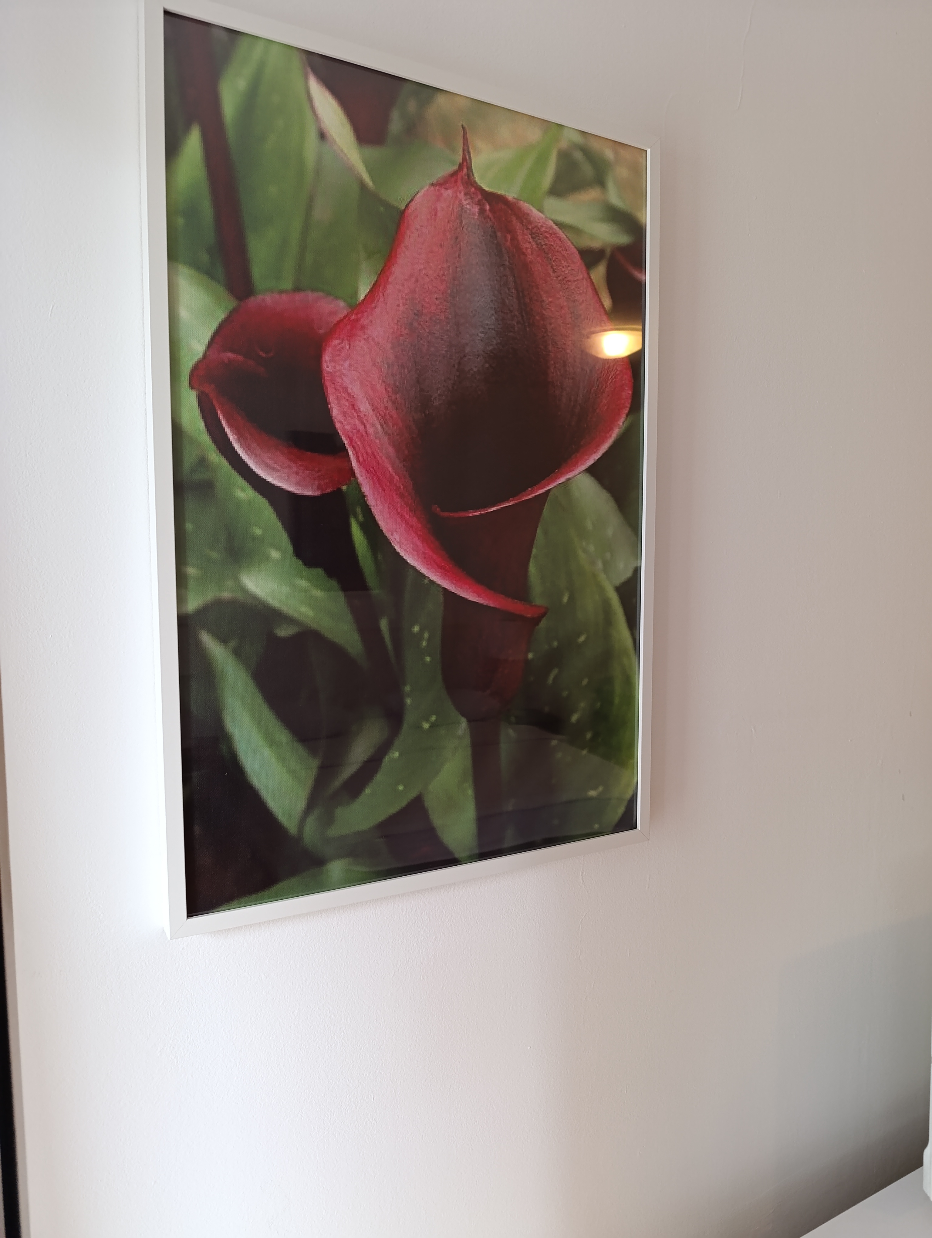 Apartmani Beograd - Apartman Kala 6