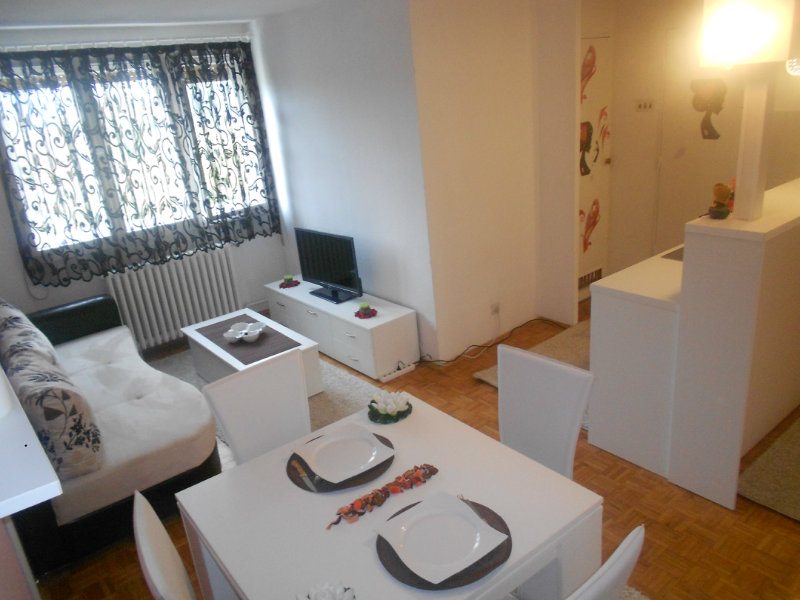 Apartmani Beograd - Apartman Fontana